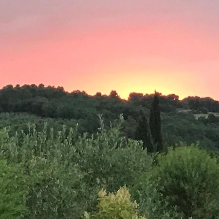 Gite Au Coeur Du Pays Cathare Verzeille Bagian luar foto