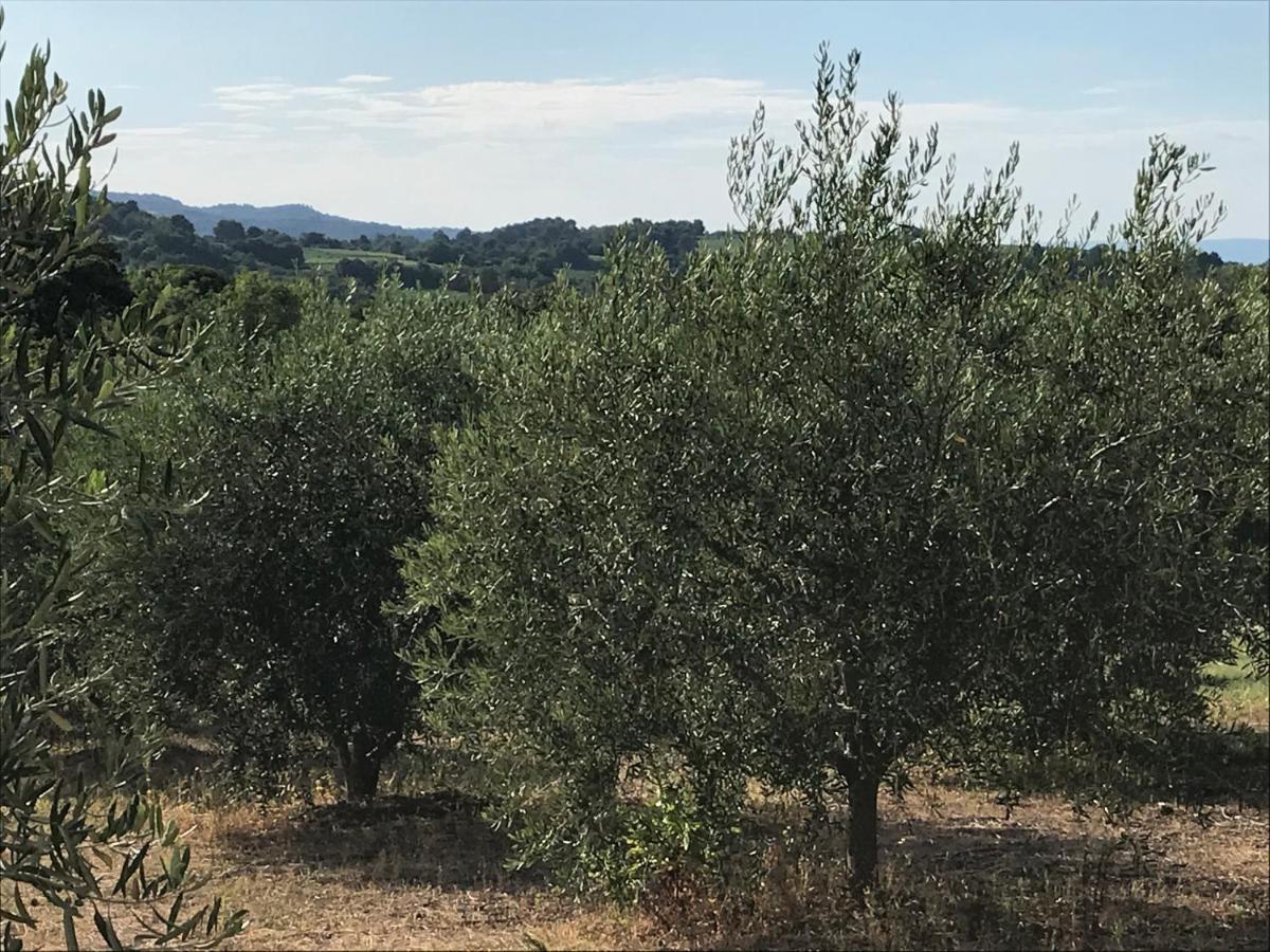 Gite Au Coeur Du Pays Cathare Verzeille Bagian luar foto