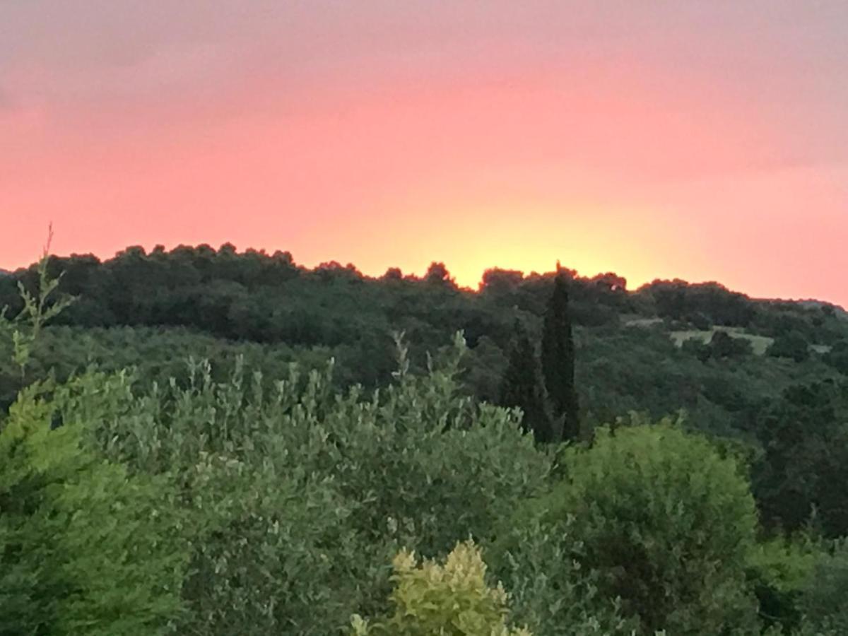 Gite Au Coeur Du Pays Cathare Verzeille Bagian luar foto